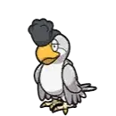 イキリンコ(白)